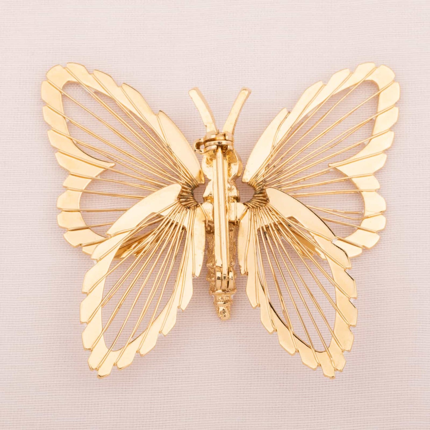 Monet-Schmetterling-Brosche-vergoldete-Rückseite
