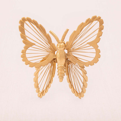 Monet-Brosche-Draht-Schmetterling-vergoldet