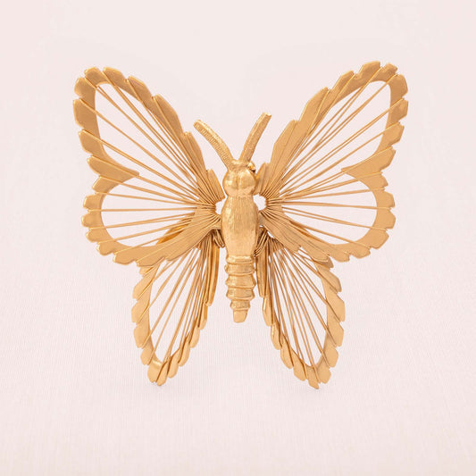 Monet-Brosche-Draht-Schmetterling-vergoldet