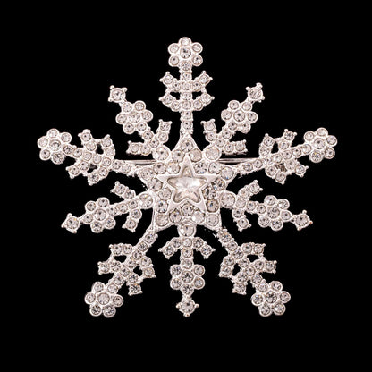 Napier-Brosche-Srtrass-Schneeflocke