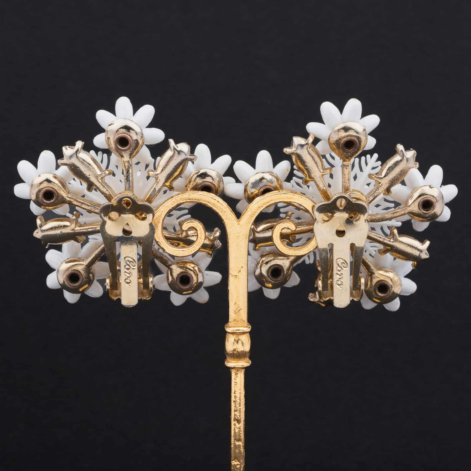 Coro-weiße-Blumen-goldfarbene-Rückseiten