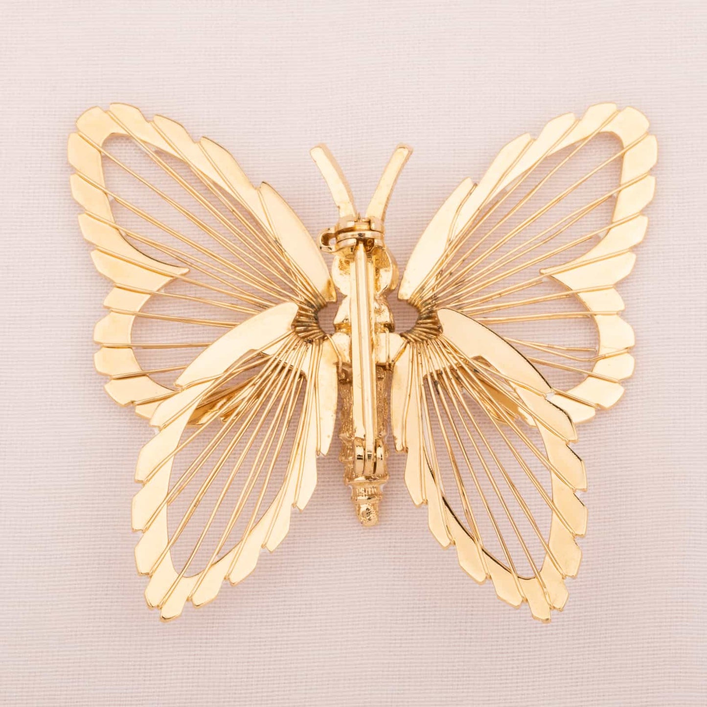 Monet-Schmetterling-Brosche-vergoldete-Rückseite